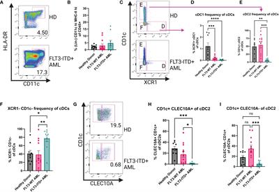 Leukemic mutation FLT3-ITD is retained in dendritic cells and disrupts their homeostasis leading to expanded Th17 frequency